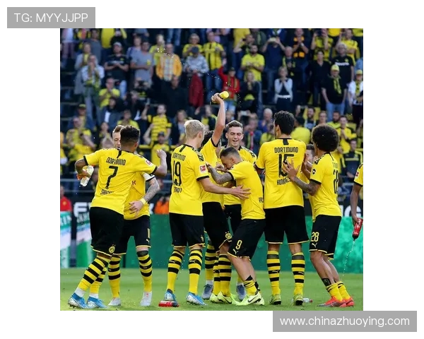 《上赛季德甲球队完整排名及战绩数据分析报告》